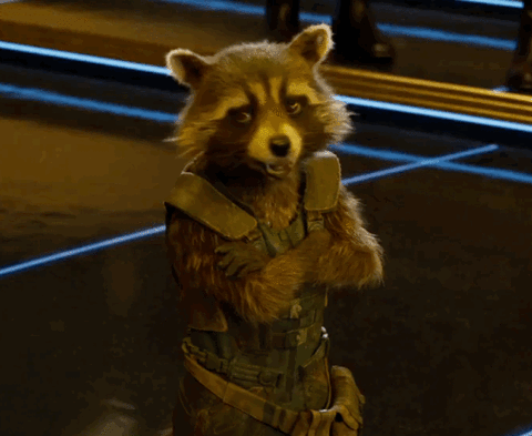 wink rocket raccoon