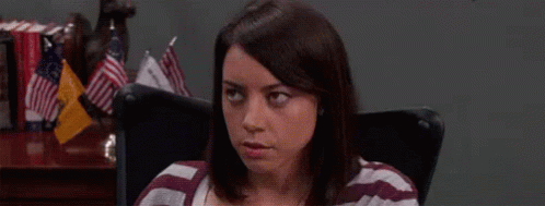 you're welcome parks and rec