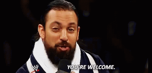 you're welcome sandow WWE