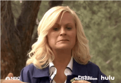 Leslie parks and rec gross